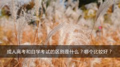成人高考和自学考试的区别是什么？哪个比较好？