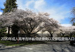 2020年成人高考吉林省成绩查询以及录取查询入口