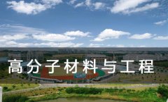 2020年成人高考长春工业大学高分子材料与工程专业报名入口