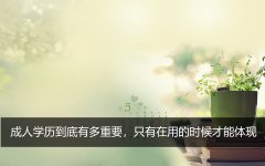 成人学历到底有多重要，只有在用的时候才能体现